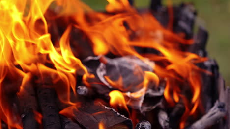 orange flame moving. wood is burning for barbecue. twisting tongues of fire over the smoldering logs. close-up. slow motion.