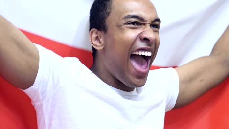 fanático polaco celebrando mientras sostiene la bandera de polonia en cámara lenta