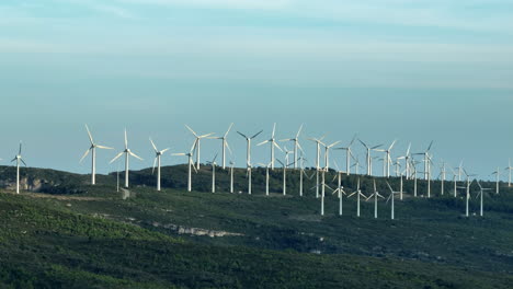 establisher aerial drone view of many windmills on green brush landscape