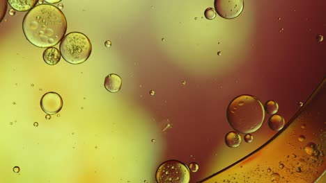 abstract colorful food oil drops bubbles and spheres flowing