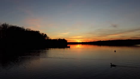 peaceful sunset over calm lake with dramatic sky. boom up past chain railing on dock reveals horizon and geese swimming past.