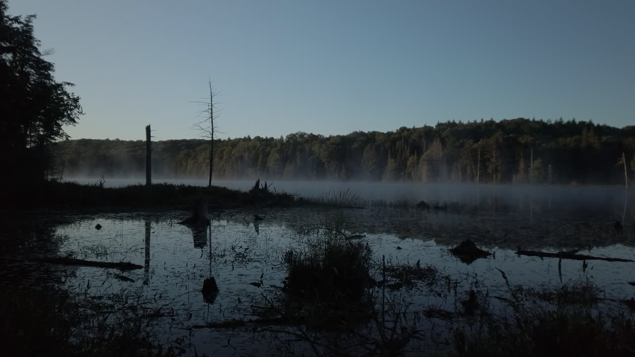 la niebla de la mañana se eleva desde el lago lee en el bosque perdido