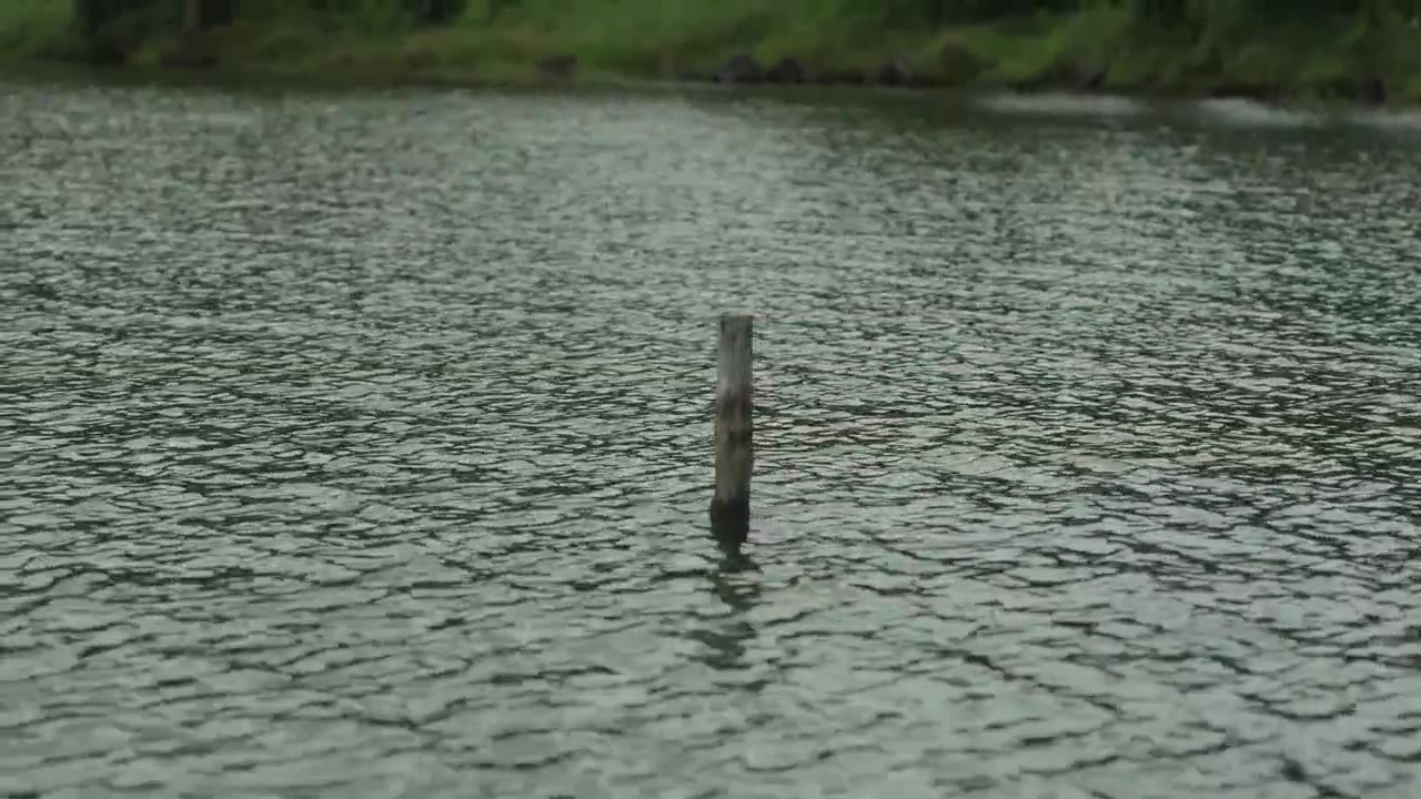 A single weathered wooden post stands in rippling lake water at Sete Cidades on Sao Miguel, Azores.