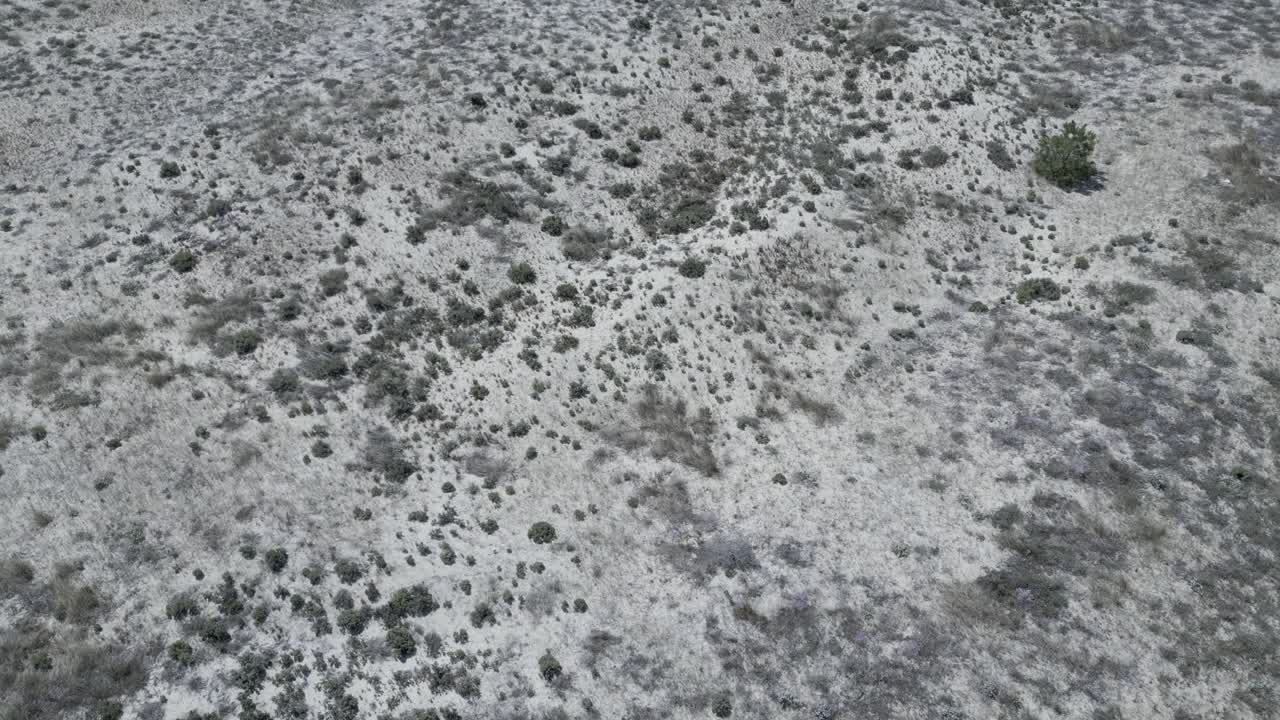 Aerial view of an unexplored, deserted beach in Europe on an island with golden sands