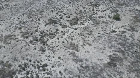 aerial view of an unexplored, deserted beach in europe on an island with golden sands