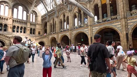 crowds explore under blue whale skeleton exhibit