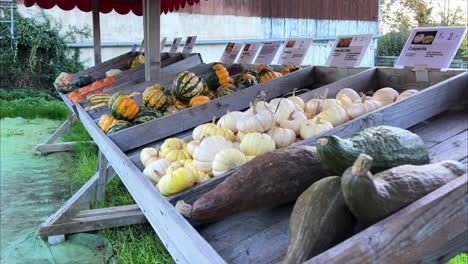 pumpkins and other vegetables on the counter of a farmers market