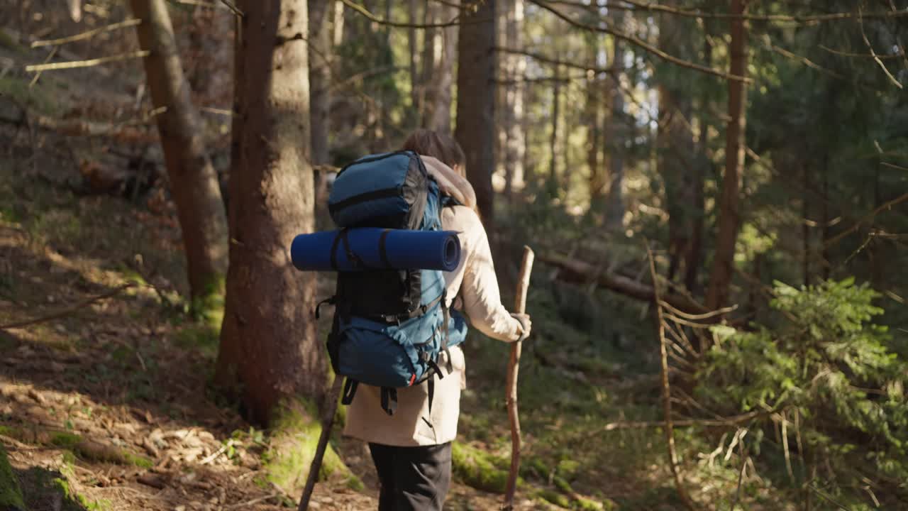 mujer caminando en un bosque