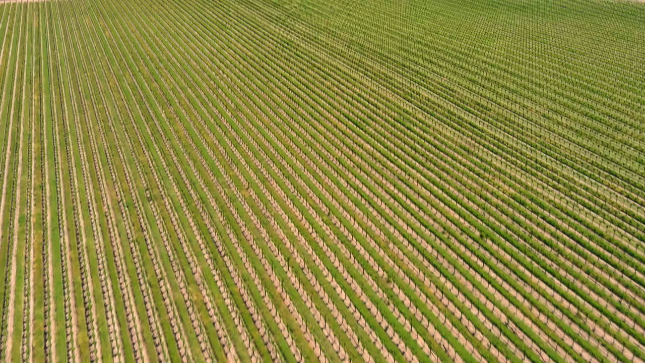 campos agrícolas en el campo rural, panorámica aérea