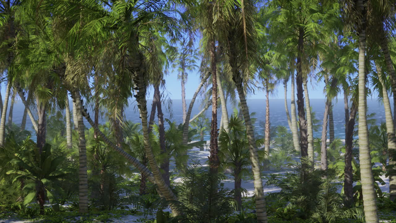 해변 에 종려나무 가 있는 사막 섬