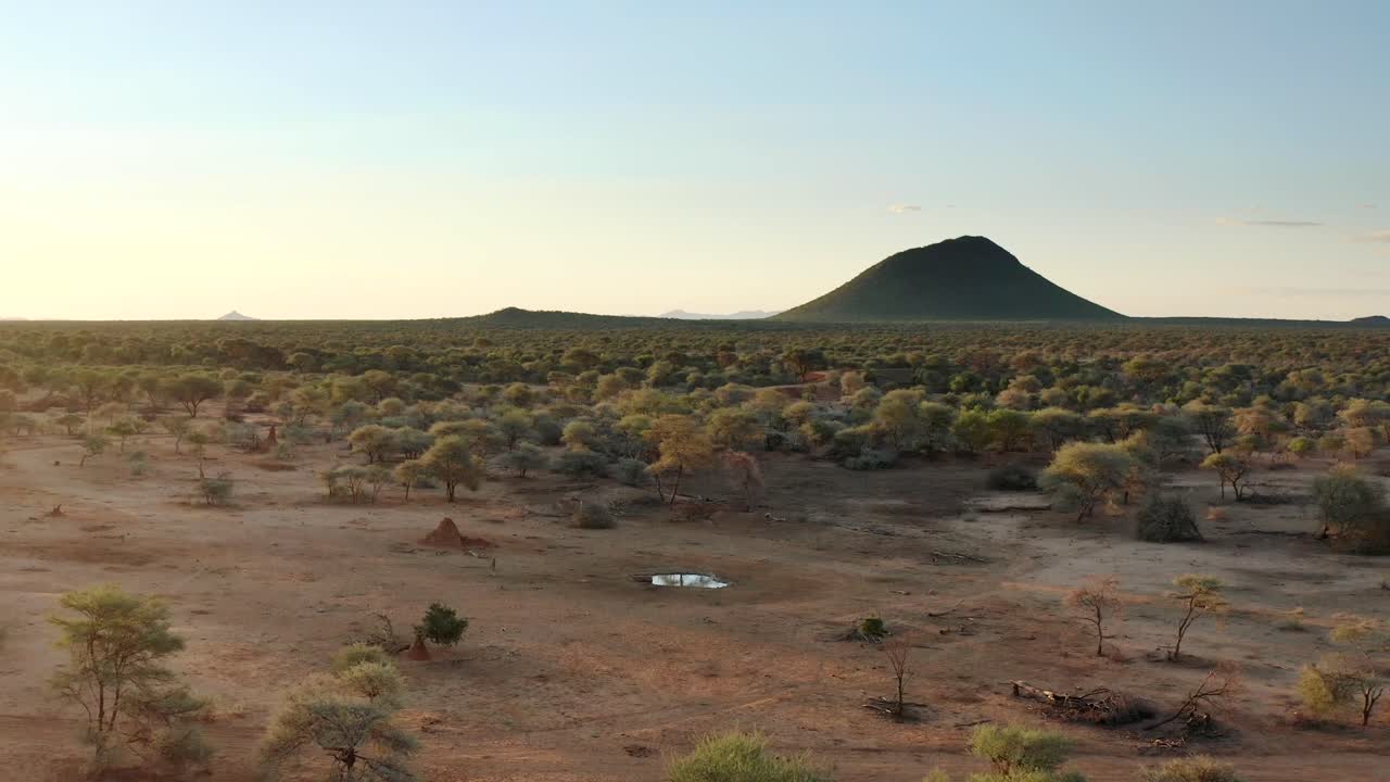 공중에서: 해가 지는 동안 아카시아 나무로 가득 찬 아름다운 아프리카 사바나 풍경