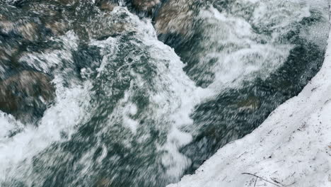 río burbujeante en la nieve del invierno. primer plano río rápido y congelado con bancos nevados.