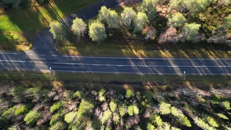 Aerial view of a scenic road in Finland surrounded by pine trees, capturing peaceful winter vibes and natural Nordic beauty.