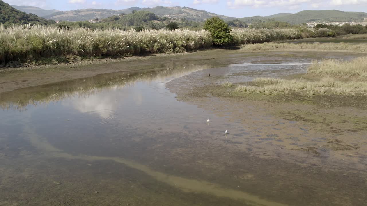 Aerial view of low tide Wetlands, bird sanctuary in Santona