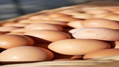 huevos marrones frescos en una canasta