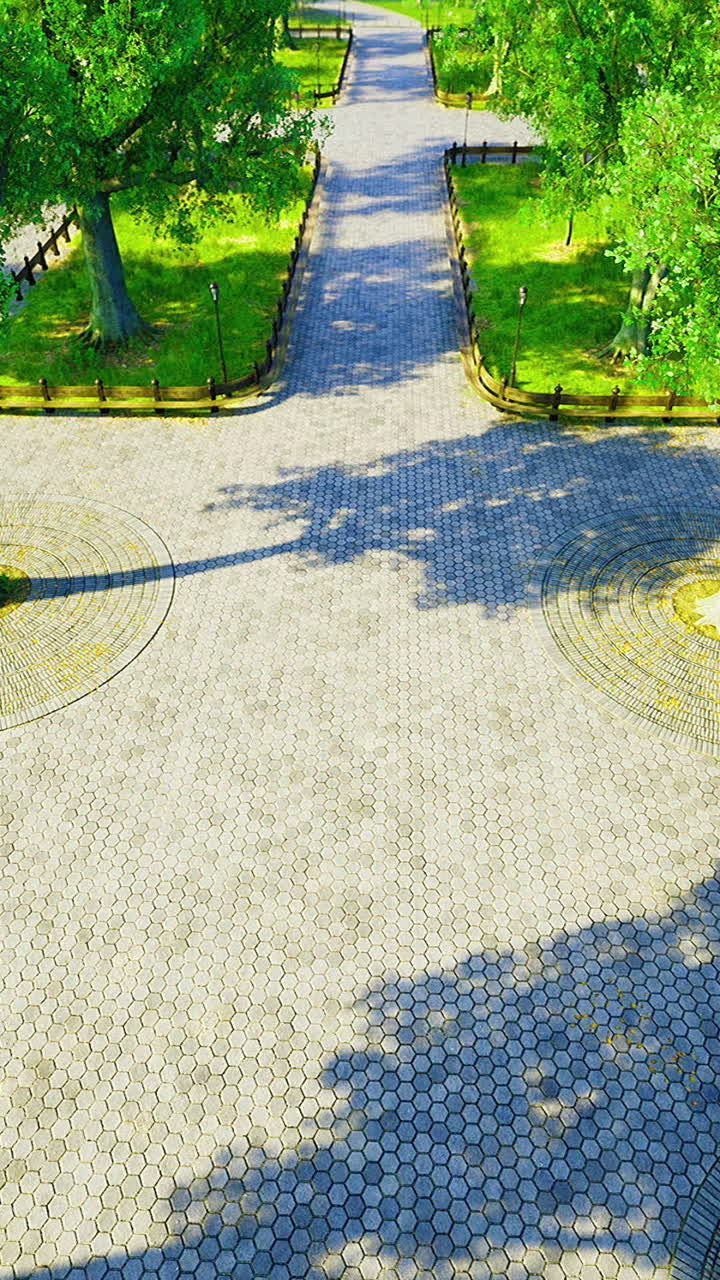 Beautiful park pathways surrounded by lush green trees on a sunny day
