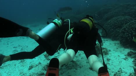 Bajo-El-Agua-Imágenes-De-Archivo