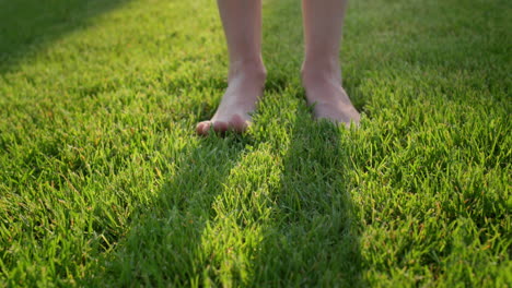 women's feet barefoot in the gentle green grass