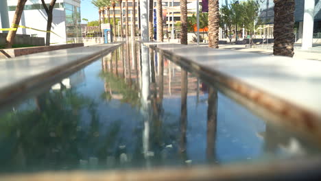 Long-Narrow-Water-Feature-Reflects-Image-of-Palms-Trees