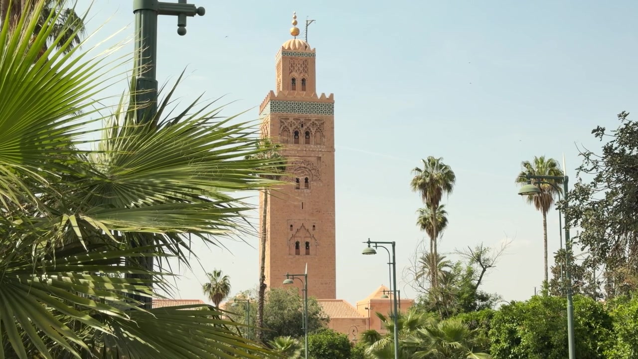 L'iconica torre della Moschea della Koutoubia si erge sopra rigogliose palme sotto un cielo sereno a Marrakech. Perfetta per progetti culturali e architettonici.
