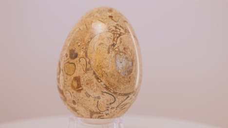 fossil stone egg rotating slowly on a turntable in front of a white background