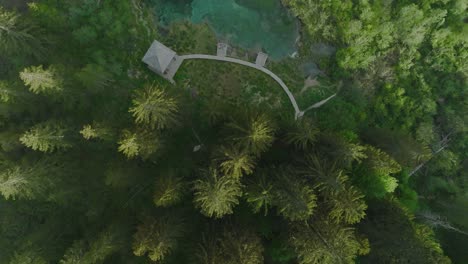 Overhead-aerial-of-green-trees-and-lake-in-Kranjska-Gora,-Slovenia