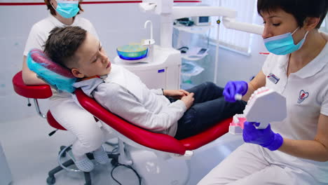 pediatric dentistry. boy is sitting in dental chair and listens to the doctor in dental clinic. female stomatologist showing the child how to brush teeth on a jaw mock.