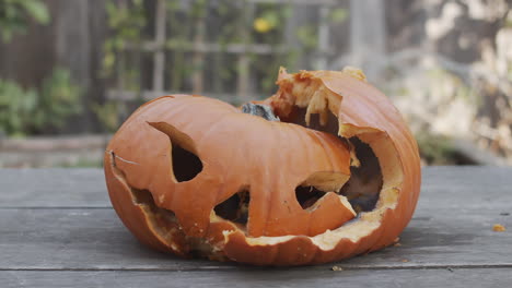 slow motion close-up of a rotten jack-o-lantern being hit with a hammer