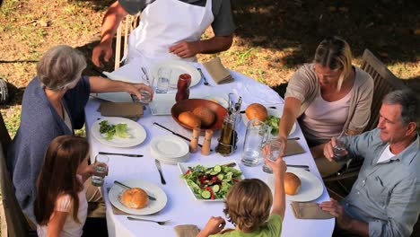 family clinking glasses during a meal in garden