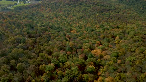 Beauty-in-Nature-Concept---Scenery-of-the-Colors-in-Forest-Landscape-in-New-England-Wilderness