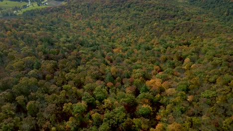beauty in nature concept - scenery of the colors in forest landscape in new england wilderness