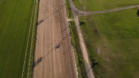 Isolated-race-horse-trotting-on-racecourse-track