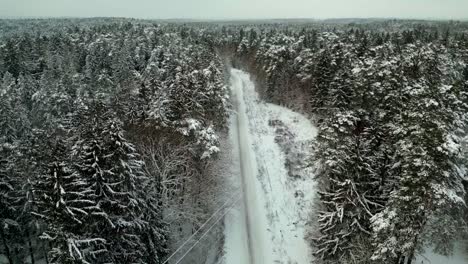 Verschneite-Straße-In-Einem-Winterwald