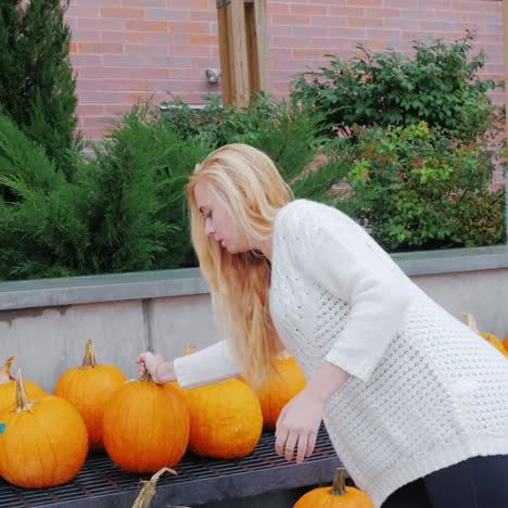 festive shopping - a young woman chooses a pumpkin for halloween