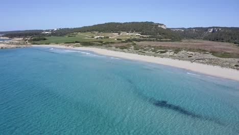 Perfect-European-beach-in-summer-with-white-sand-and-crystal-clear-blue-water-seen-from-the-air-in-Menorca,-Spain