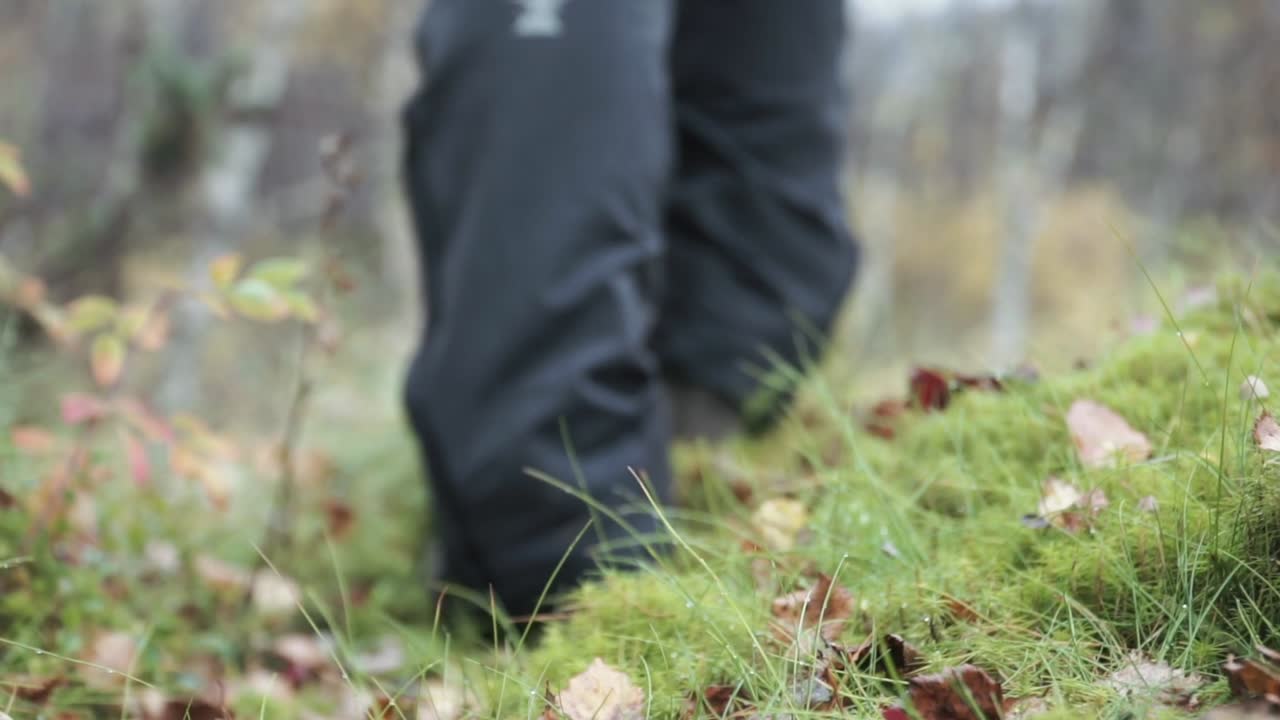 가을에 숲에서 산책하는 것