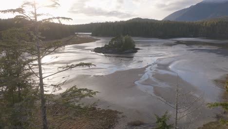 Flying-through-trees-to-reveal-an-island-on-the-BC-coast-by-the-ocean-and-forest