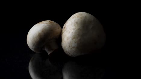 Two Mushrooms on Dark Surface