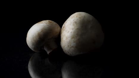 two mushrooms on black surface