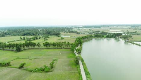 Toma-Aérea-De-Un-Pueblo-Con-Lagos-Y-Campo-Agrícola-En-India