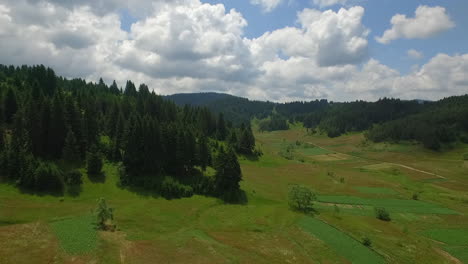 Toma-Aérea,-Hermoso-Prado-Verde-Con-Pinos-Y-Huecos-Circundantes