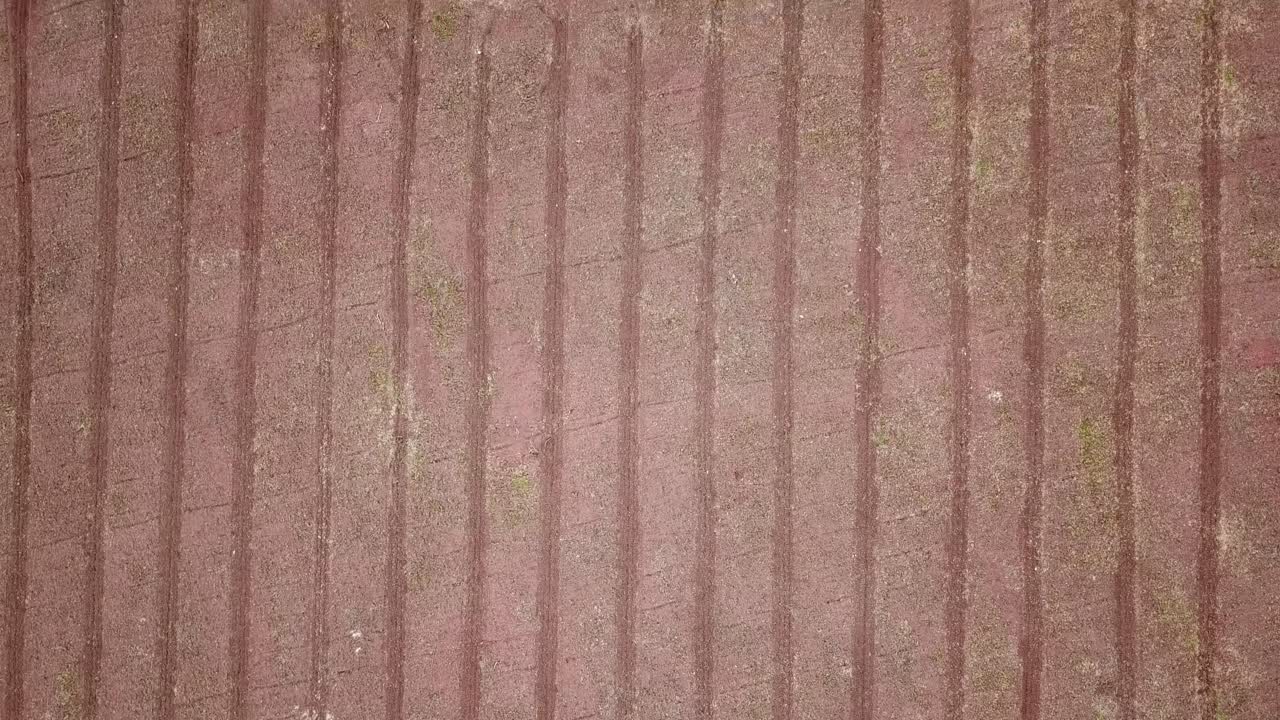 Incredibile prospettiva aerea che cattura l'intero ciclo di vita delle colture, dal terreno arato e spoglio a una piantagione verde lussureggiante e rigogliosa