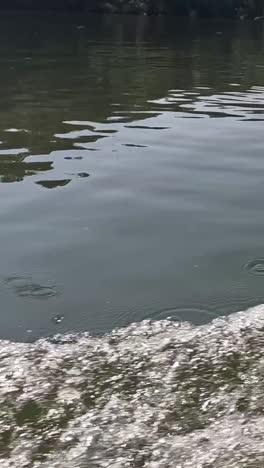 sequence of water surface with dynamic ripples and splashes.