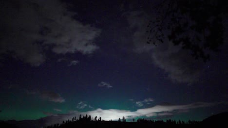 awe-inspiring aurora over distant trees