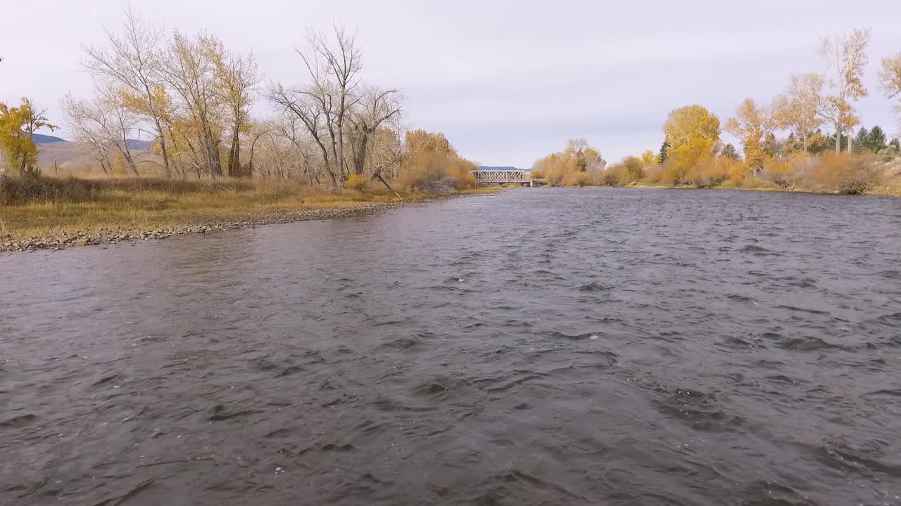 Flyver lavt over mørk flod mod bro i gulligt efterårslandskab, Twin Bridges Montana