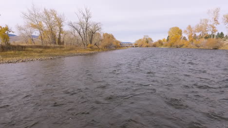 Flying-low-above-dark-river-toward-bridge-in-yellowish-fall-landscape,-Twin-Bridges-Montana