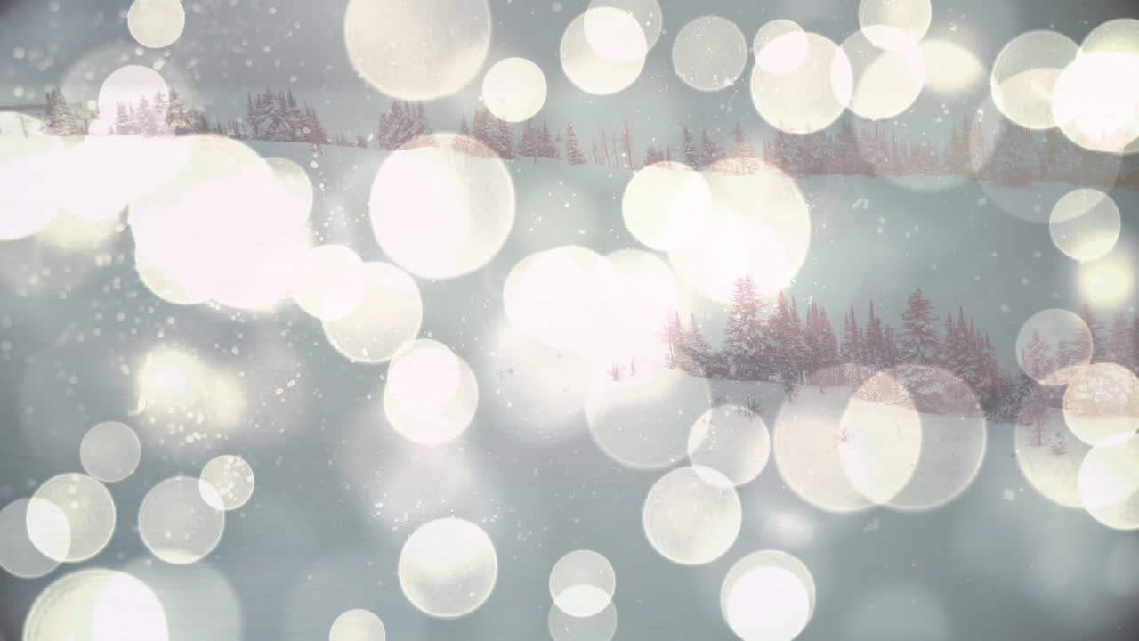 Animation of spots of light over winter scenery with fir trees