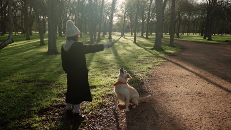 Well-behaved-obedient-golden-retriever-dog-sits-and-then-jumps-for-ball-in-wooded-park-with-beautiful-beaming-sunlight