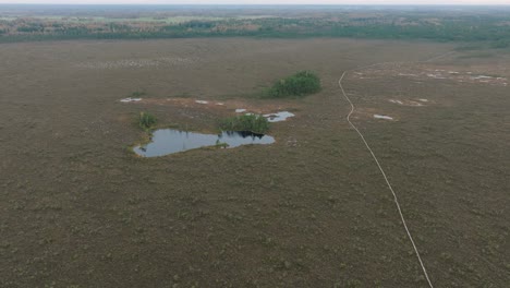 hermosa vista aérea a vista de pájaro del paisaje de pantano con lagos en un día nublado de otoño, pantano de turba dunika, pequeños pinos, disparo de drone de gran ángulo moviéndose hacia adelante inclinándose hacia abajo