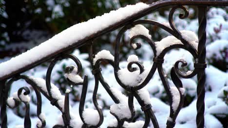 intricately designed wrought iron railing adorned with a layer of fresh snow, reflecting the beauty of winter's chill and nature's patterns